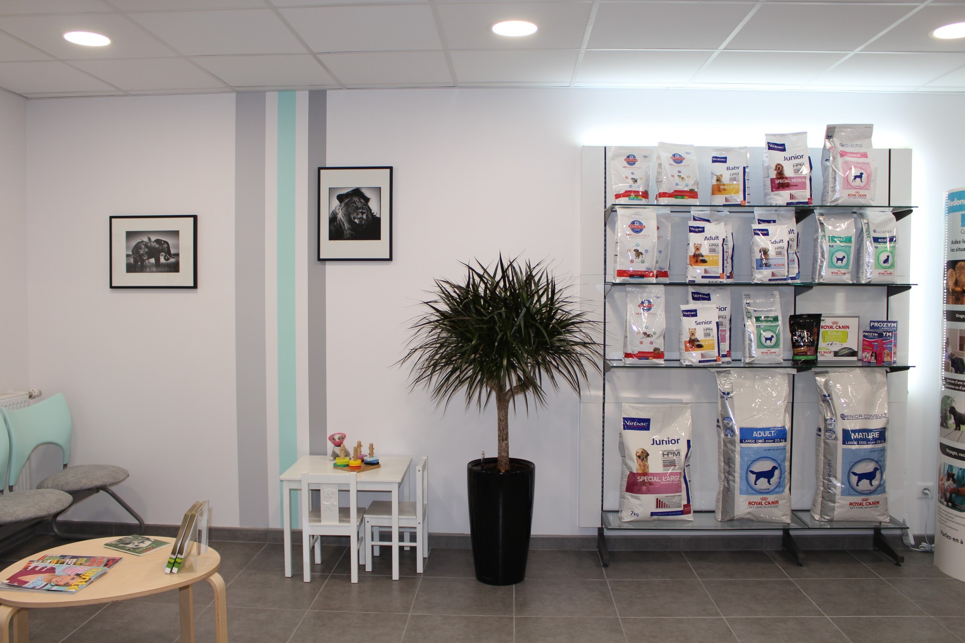 CLINIQUE VETERINAIRE D'ANGRE