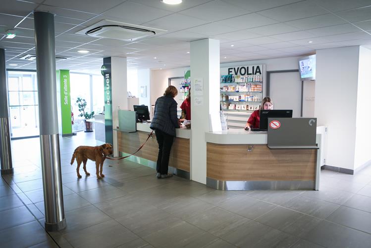 CLINIQUE VETERINAIRE D'ANGRE